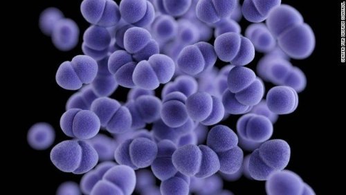اطلاعات بیشتر در مورد "فلش کارت باکتری استافیلوکوکوس"