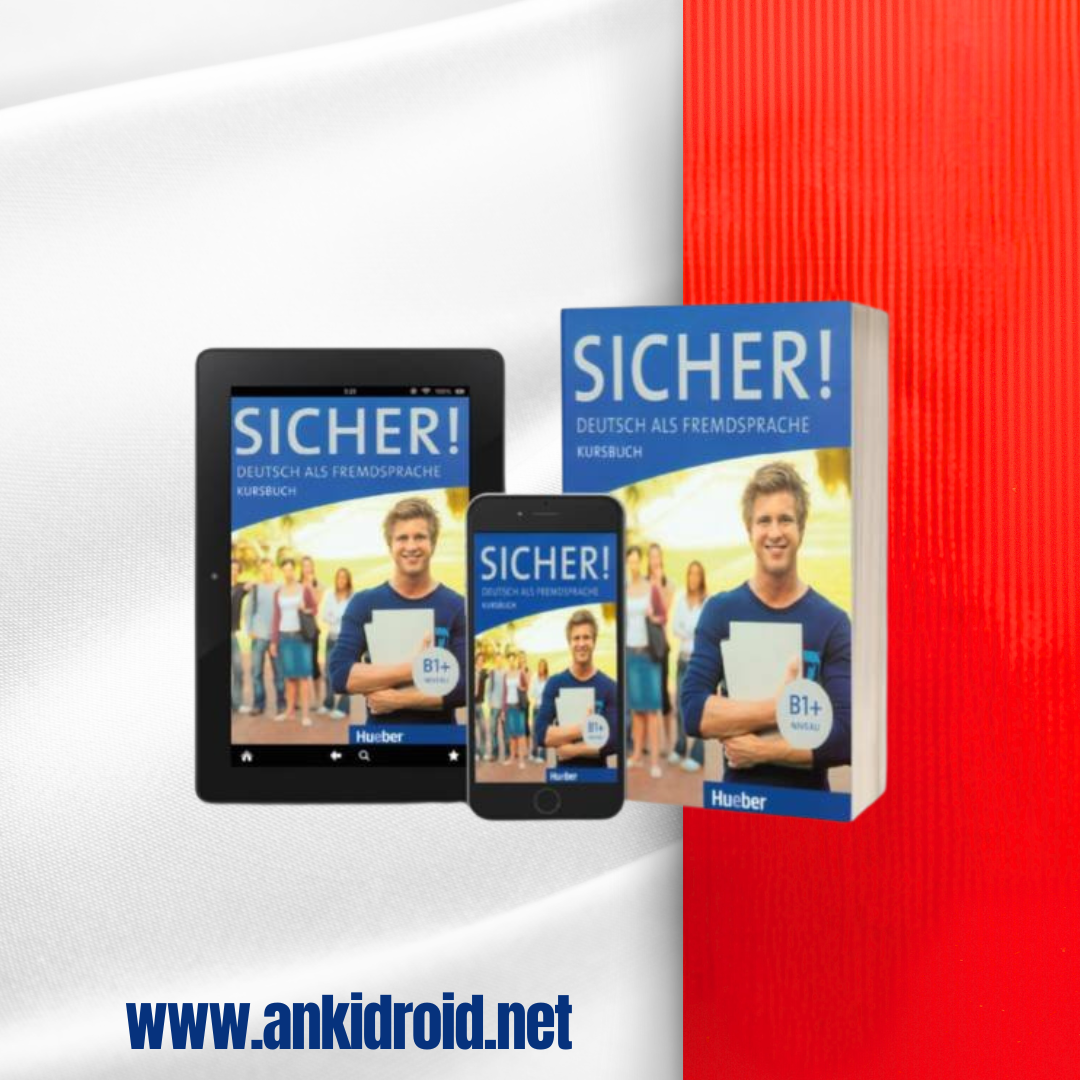  فلش کارت Sicher B1+ 