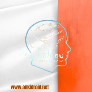 فلش کارت اصطلاحات روانشناسی (قسمت سوم) 