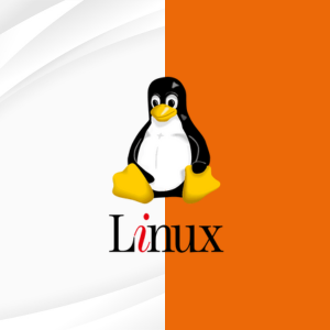 اطلاعات بیشتر در مورد "انکی لینوکس(Standard)"