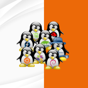 اطلاعات بیشتر در مورد "انکی لینوکس(alternate)"