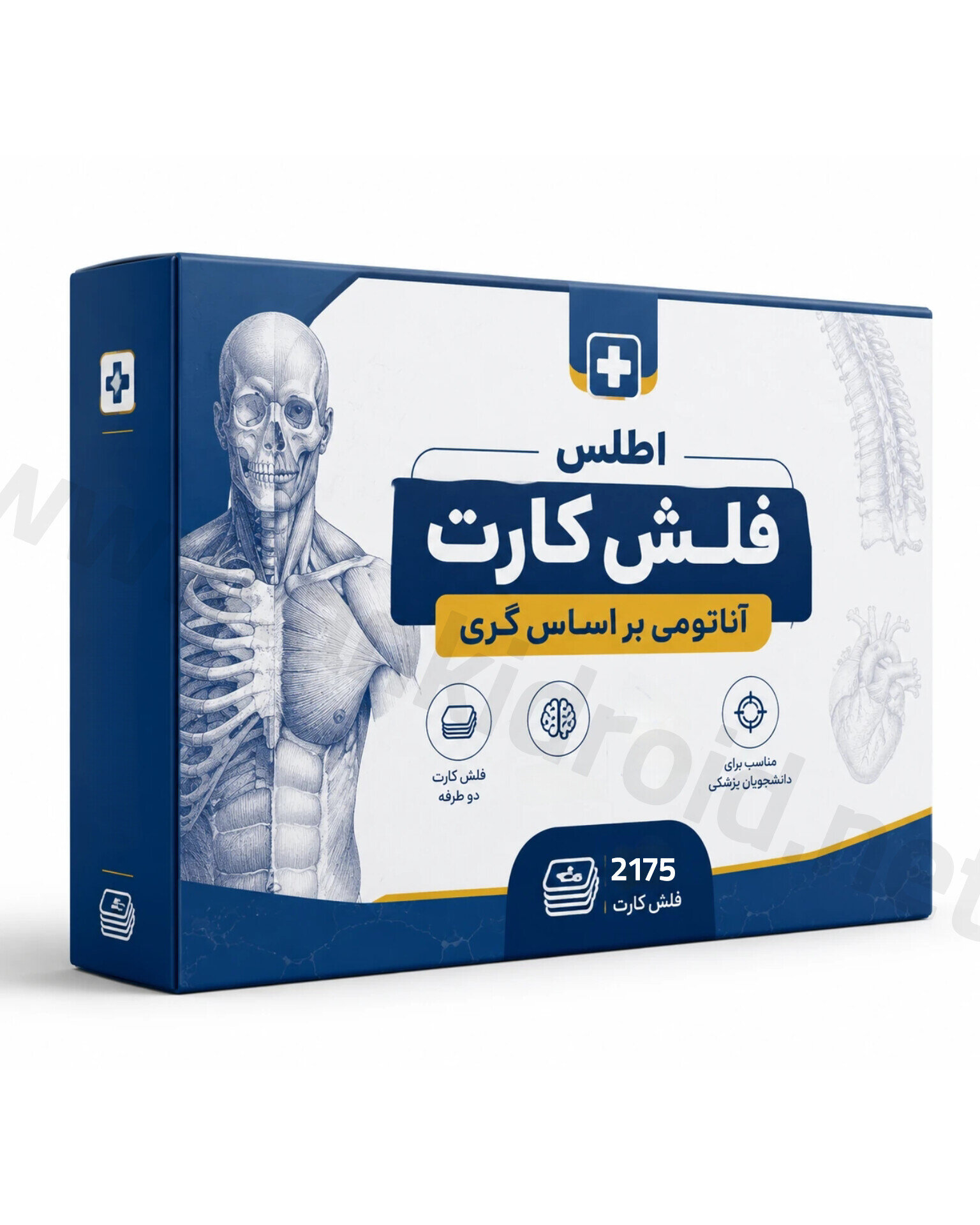 اطلس فلش کارت آناتومی بر اساس گری